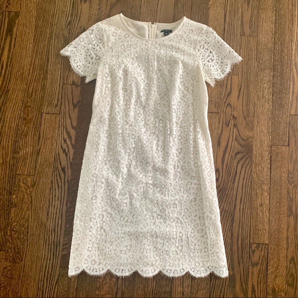 Ann Taylor scalloped ivory lace dress